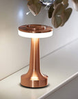AMBIENTIFY Harglo - RosΓ© goud - Lighting