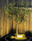 Solartitan Solar Ground Lights-5