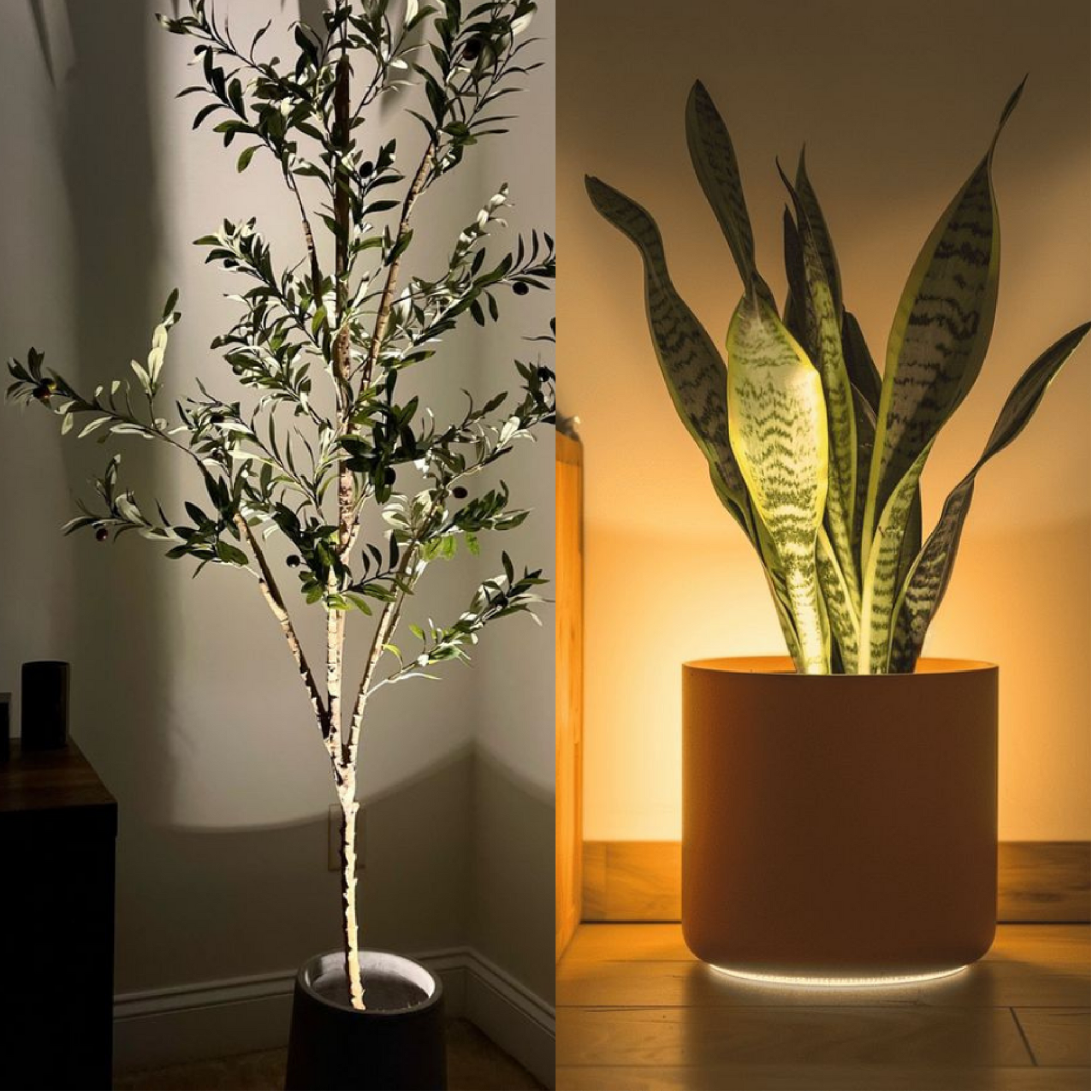 AMBIENTIFY Flora
