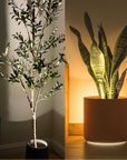 AMBIENTIFY Flora