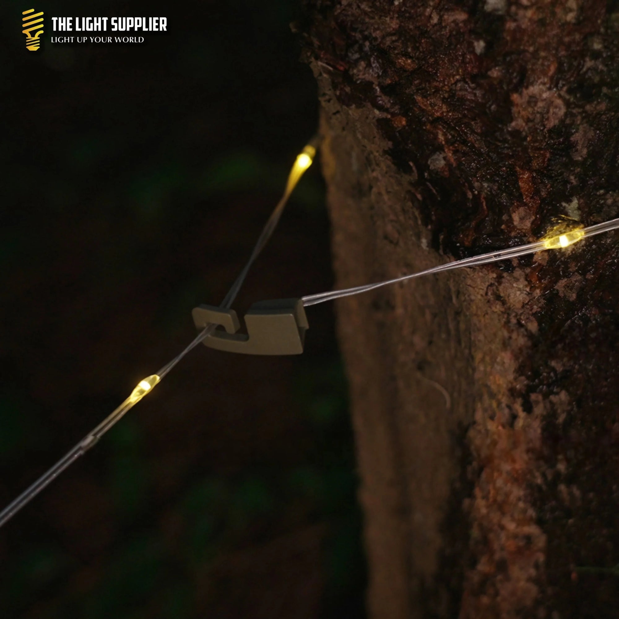 Campify™ String