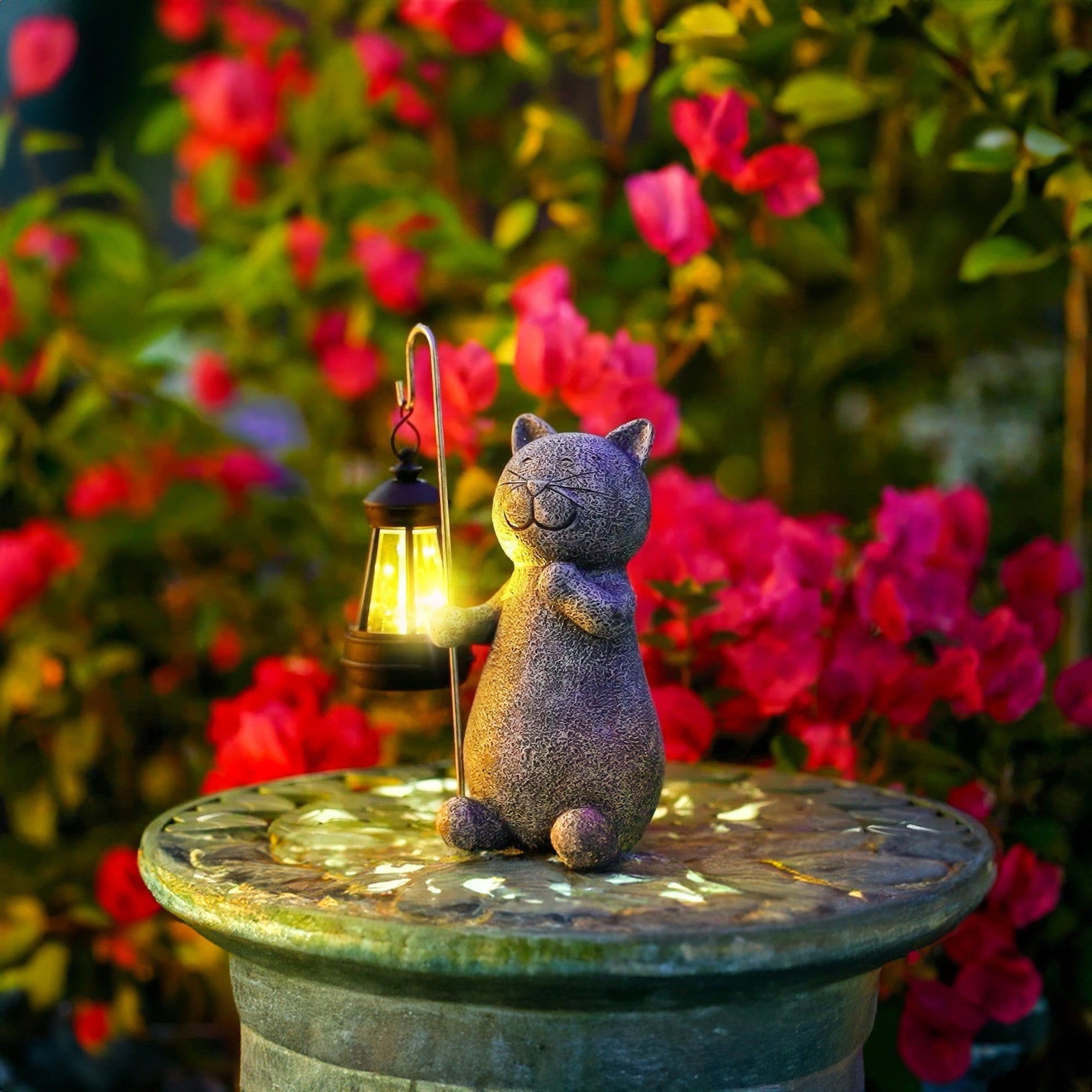 SOLARIFY Cat - buitenverlichting