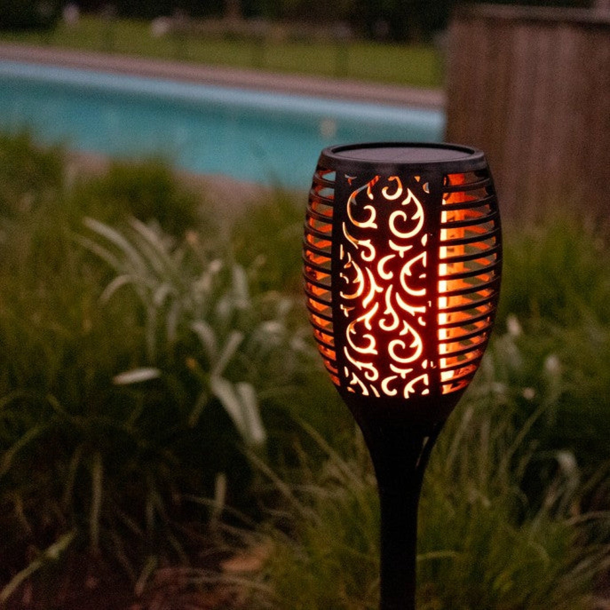 SOLARIFY Flame